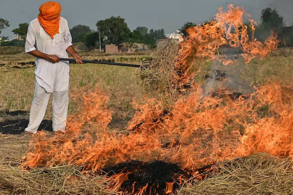 पराली जलाने पर भड़के CJI गवई, कहा – कुछ को जेल भेजें, सब ठीक हो जाएगा