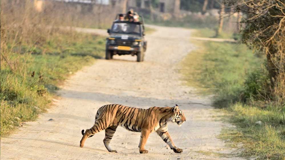 मध्य प्रदेश के राष्ट्रीय उद्यानों और टाइगर रिजर्व में सिंगल यूज प्लास्टिक पर प्रतिबंध, उल्लंघन पर 5000 रुपये तक जुर्माना