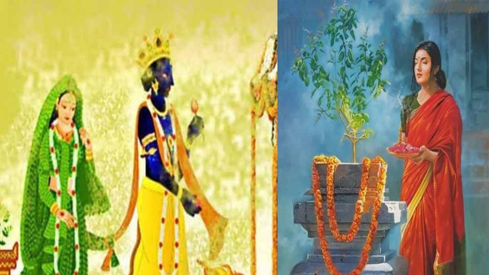 तुलसी विवाह 2025: जानें तिथि, शुभ मुहूर्त और पूजा विधि