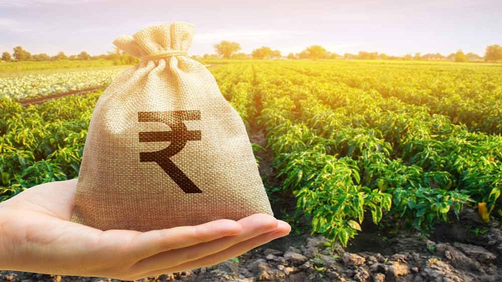 पीएम किसान योजना की 21वीं किस्त पर बड़ा अपडेट: क्या पति-पत्नी दोनों को मिलेगा फायदा?