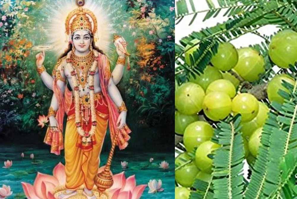 अक्षय नवमी 2025: जानें सही तिथि, पूजा विधि और शुभ मुहूर्त में करें ये खास उपाय