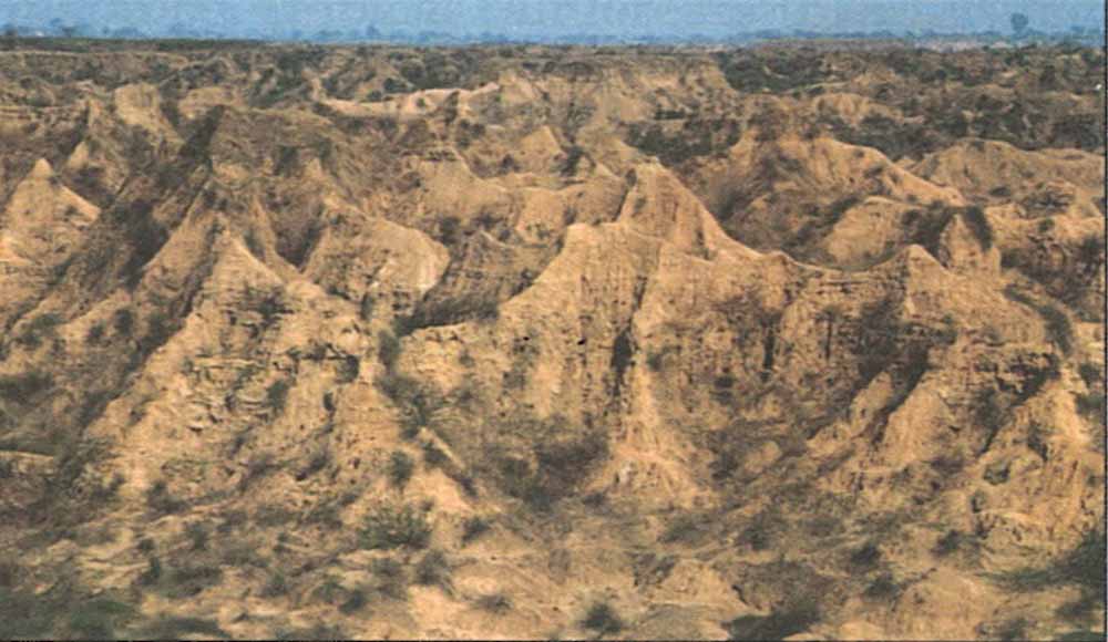 चंबल के बीहड़ में सोलर प्लांट: सरकार की बड़ी योजना से बदल जाएगी पहचान