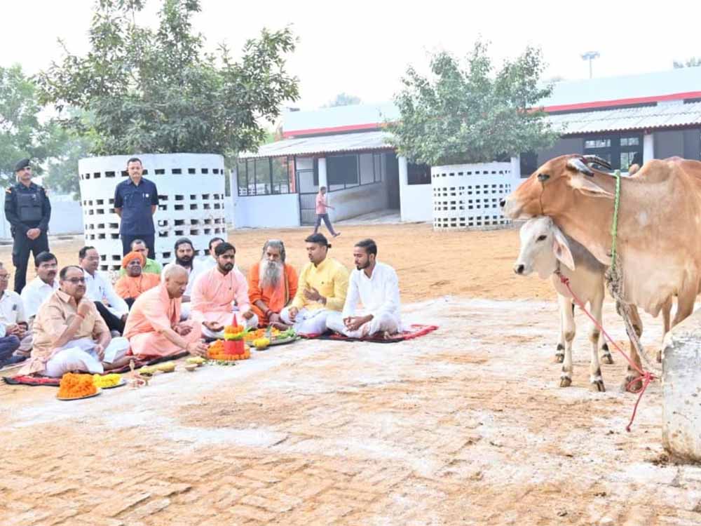 गोवर्धन पूजा पर सीएम योगी बने ‘गोपालक’, गायों को खुद खिलाया गुड़-रोटी