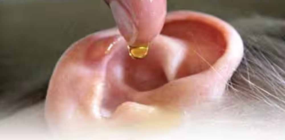 क्या बच्चों के कान में तेल डालना सुरक्षित है? सुनें एक्सपर्ट की राय