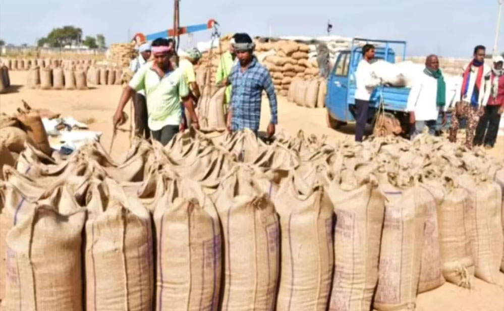 गत वर्ष से 8 लाख 22 हजार मीट्रिक टन अधिक हुई धान की खरीदी : खाद्य मंत्री राजपूत