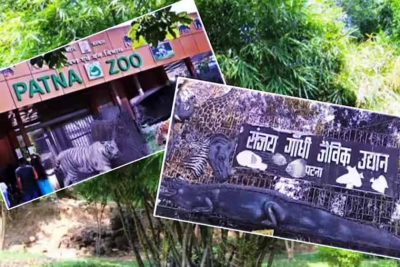 पटना जू में आने वाला है सिंगापुर से दो-सिंग वाला सफेद गैंडा, एक्सचेंज प्रोग्राम पर तैयारी