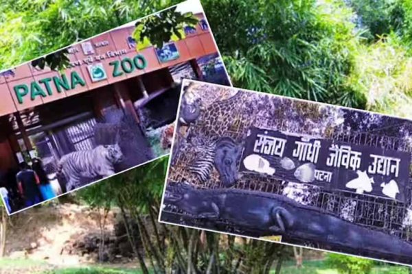 पटना जू में आने वाला है सिंगापुर से दो-सिंग वाला सफेद गैंडा, एक्सचेंज प्रोग्राम पर तैयारी