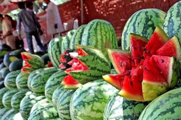 तरबूज से मौत की खबरों का असर, खरीदार गायब; कई शहरों में दाम 30% तक गिरे