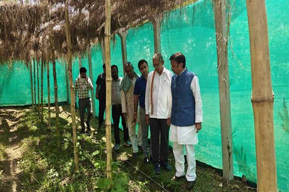 उप मुख्यमंत्री ने किया प्राकृतिक खेती का निरीक्षण