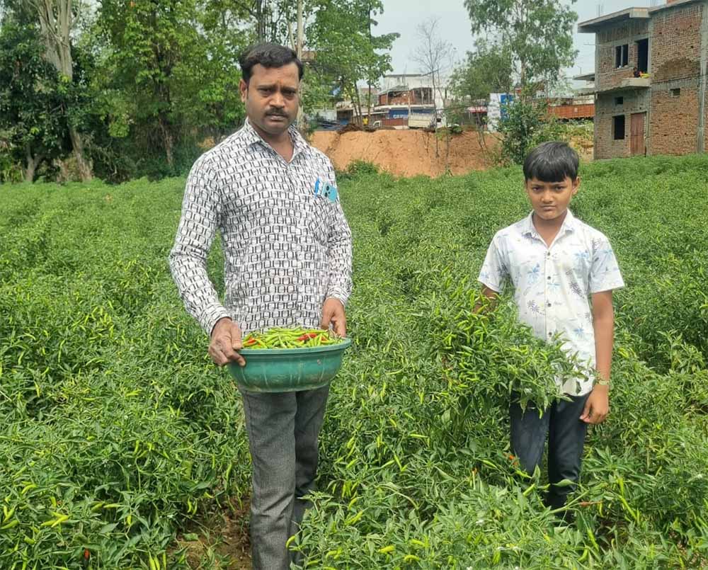 विशंकर जलाशय की सुरक्षा के लिए गेटों की मरम्मत एवं आवश्यक कार्यों हेतु 65.50 करोड़ रुपए की मिली प्रशासनिक स्वीकृति