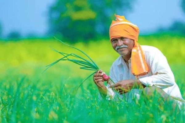 बदलती खेती में नैनो यूरिया और नैनो डीएपी बन रहे किसानों की नई पसंद