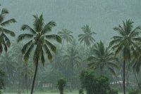 केरल में मॉनसून की रफ्तार धीमी, मौसम विभाग ने बताई देरी की वजह