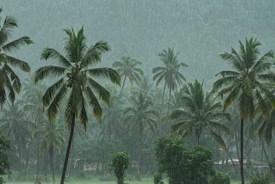केरल में मॉनसून की रफ्तार धीमी, मौसम विभाग ने बताई देरी की वजह