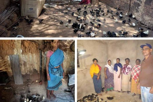 नियद नेल्लानार योजना: कच्चापाल जलप्रपात के पास ‘इन्द्रावती समूह’ की महिलाएँ मुर्गी पालन से लिख रहीं आत्मनिर्भरता की नई इबारत