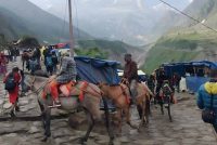 अमरनाथ यात्रा 2026: श्रद्धालुओं की सुरक्षा के लिए पहली बार लॉन्च हुआ ‘पहचान’ ऐप