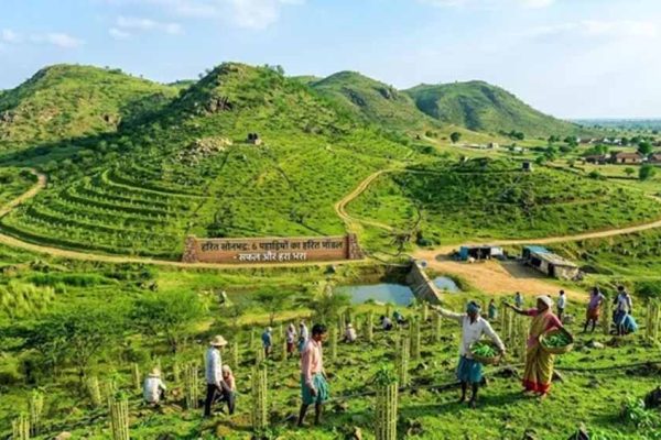 सोनभद्र की छह पहाड़ियों पर ट्रेंच तकनीक से बड़े पैमाने पर पौधारोपण की तैयारी