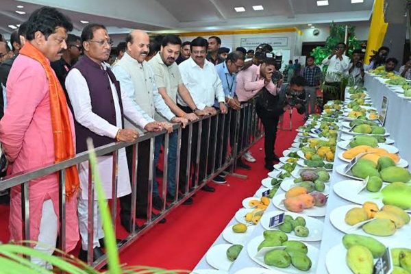 धनबाद आमोत्सव में दिखा जापानी मियाज़ाकी आम का क्रेज, कीमत 3 लाख रुपये किलो