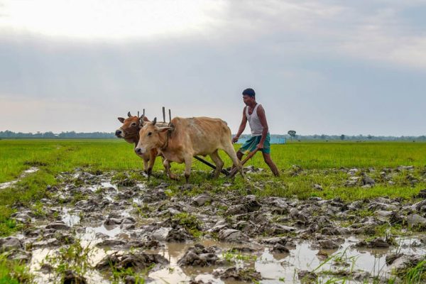 Al-Niño Effect: केरल में कमजोर पड़ा मानसून, 33% कम बारिश से किसानों की बढ़ी चिंता