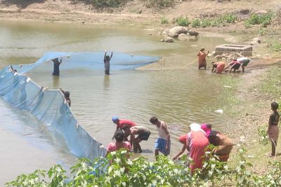 मत्स्य पालन बना ग्रामीण समृद्धि का सशक्त माध्यम