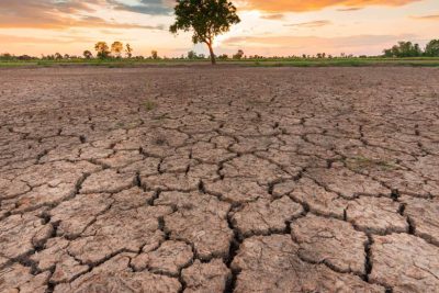 MP Weather: 33 जिलों में सामान्य से कम बारिश, किसानों की बढ़ी चिंता; फिलहाल भारी बारिश के संकेत नहीं