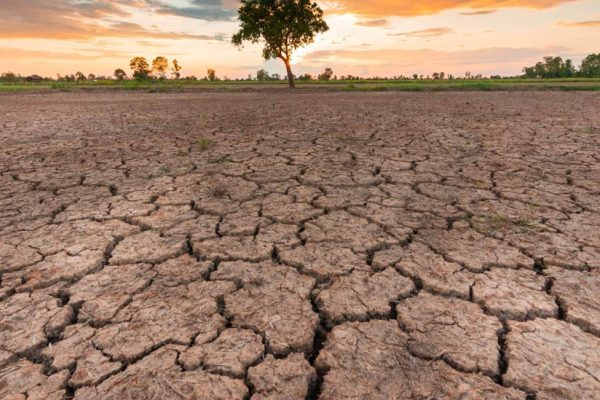 MP Weather: 33 जिलों में सामान्य से कम बारिश, किसानों की बढ़ी चिंता; फिलहाल भारी बारिश के संकेत नहीं