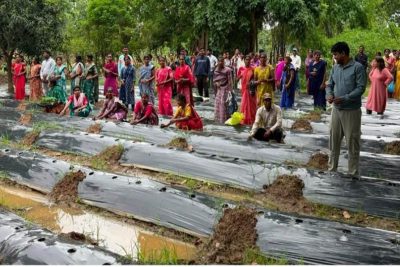 ​रायपुर : ​जलवायु परिवर्तन के दौर में किसानों के लिए वरदान बनेगी ग्राफ्टेड सब्जी: धमतरी में वैज्ञानिक प्रशिक्षण संपन्न