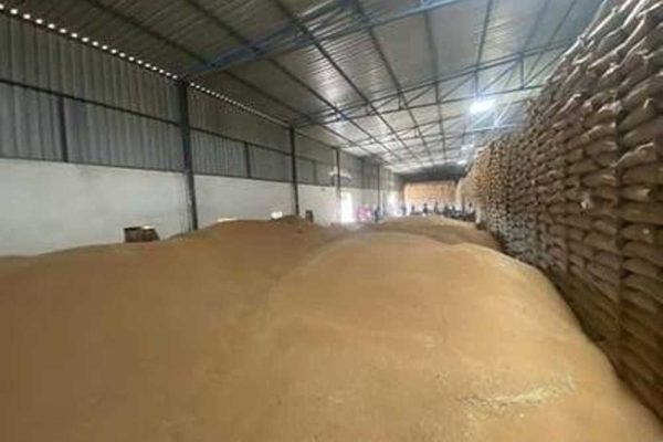 खरीदे गए गेहूँ में पायी गई कमी के कारणों की पहचान करने के लिये जिला उपार्जन समितियों दिये निर्देश