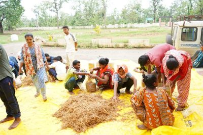 सुकमा में मशरूम उत्पादन का प्रशिक्षण बना आत्मनिर्भरता की नई राह