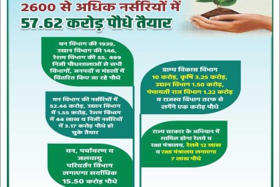 रोपने के लिए प्रदेश की 2600 से अधिक नर्सरियों में 57.62 करोड़ पौधे तैयार