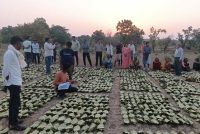 साय सरकार के सुशासन में तेन्दूपत्ता संग्राहकों को मिली आर्थिक मजबूती, 10,160 हितग्राहियों के खातों में पहुँची 1.39 करोड़ रुपये से अधिक की बोनस राशि