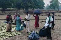 तेन्दूपत्ता संग्राहकों के खातों में पहुंचने लगी बोनस राशि