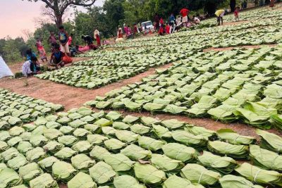 गीदम समिति ने रचा इतिहास, 38 वर्षों में सबसे अधिक कीमत पर बिका तेंदूपत्ता