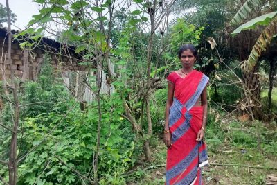 किचन गार्डन से आत्मनिर्भर बन रहीं बिहान की दीदियां