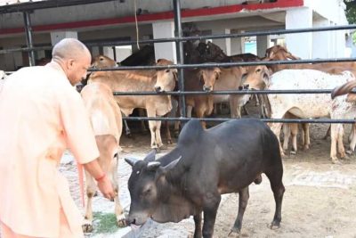 योगी सरकार पशुओं के लिए बनाएगी अत्याधुनिक सुविधाओं से लैस अस्पताल