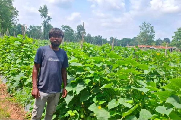 उद्यानिकी विभाग की योजना से बदली कमार कृषक की तकदीर