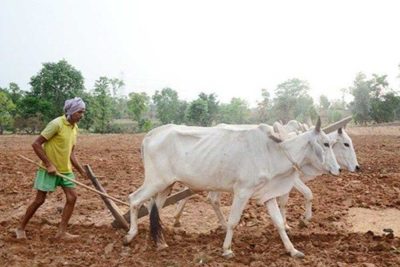 मुख्यमंत्री डॉ. यादव 10.54 लाख किसानों के खातों में 1460.25 करोड़ की राशि करेंगे अंतरित