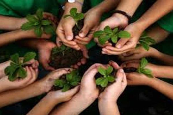 12 जुलाई को यूपी में बनेगा नया रिकॉर्ड! पौधरोपण महाभियान-2026 के तहत योगी सरकार रचेगी इतिहास