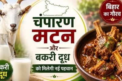 चंपारण मटन और बकरी दूध को मिलेगी नई पहचान, GI टैग की तैयारी