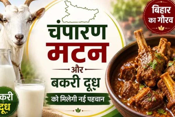 चंपारण मटन और बकरी दूध को मिलेगी नई पहचान, GI टैग की तैयारी