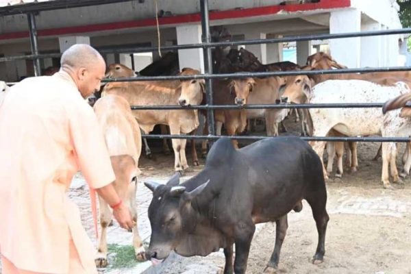 सीएम योगी की गोसंरक्षण नीति का असर : करोड़ों कमा रहे युवा, बढ़ रहा रोजगार