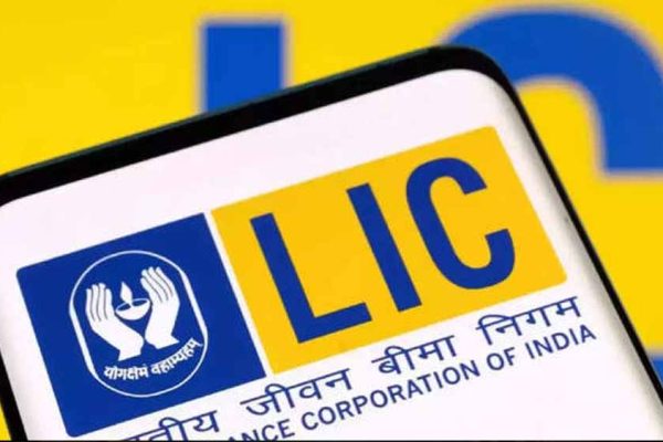 LIC के बाद अब इन कंपनियों पर सरकार की नजर, हिस्सेदारी बिक्री से मिल सकता है कमाई का मौका