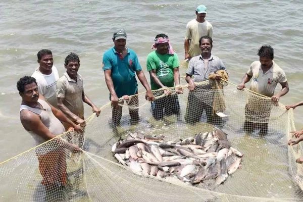 प्रधानमंत्री मत्स्य संपदा योजना ने बदली किसानों की किस्मत, मछली पालन बना अतिरिक्त आमदनी का मजबूत जरिया