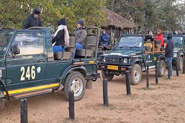 कान्हा टाइगर रिजर्व में जंगल सफारी के लिए HSRP नंबर प्लेट अनिवार्य, वाहन रजिस्ट्रेशन के बाद ही मिलेगी एंट्री