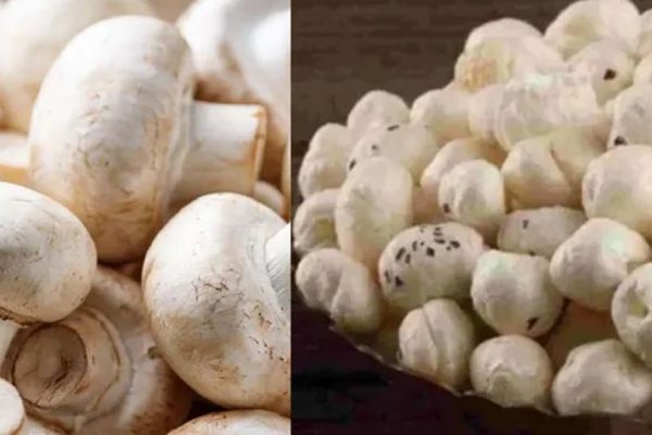 मखाने के बीच बिहार का मशरूम चमका, 10 साल में उत्पादन 0.06 से बढ़कर 42.19 हजार टन