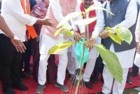 ‘एक पेड़ माँ के नाम’ अभियान से प्रकृति संरक्षण और मातृ सम्मान का संदेश