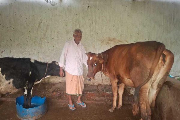 ’पीएम किसान सम्मान निधि की बचत से खरीदी पहली गाय, आज 10 गायों के साथ आत्मनिर्भर बने 75 वर्षीय परशुराम गुप्ता’