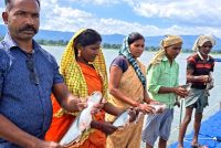 प्रधानमंत्री मत्स्य संपदा योजना से मल्हनिया जलाशय में बदली मछुआरों की जिंदगी
