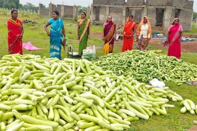 अतिक्रमण मुक्त 25 एकड़ बंजर भूमि पर उगी समृद्धि