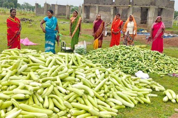 अतिक्रमण मुक्त 25 एकड़ बंजर भूमि पर उगी समृद्धि