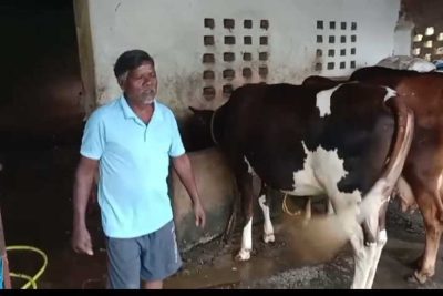 एक गाय से शुरू हुआ सफर, आज 10 पशुओं का समृद्ध पशुधन